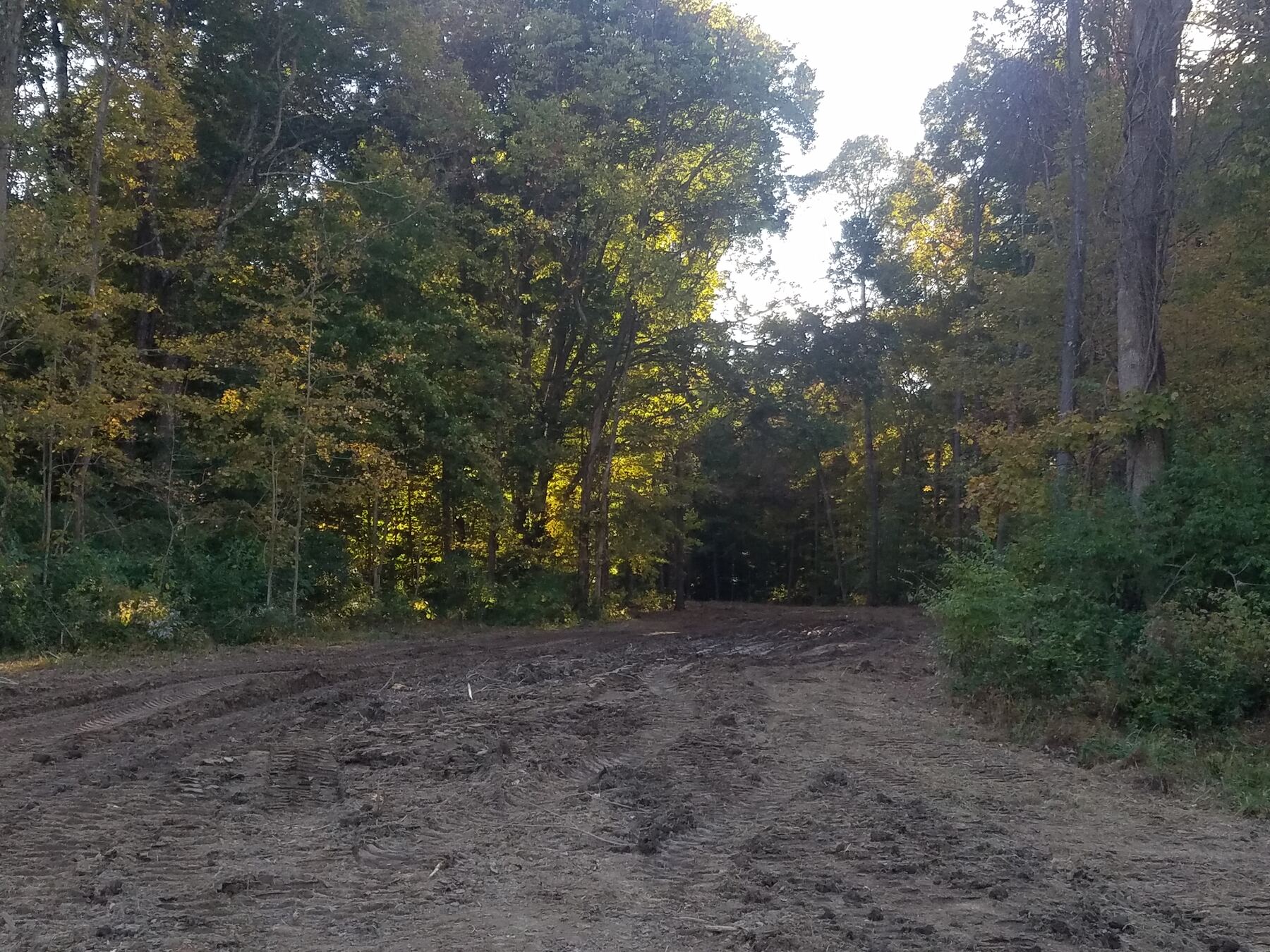 Cleared lot along Shawhan Road